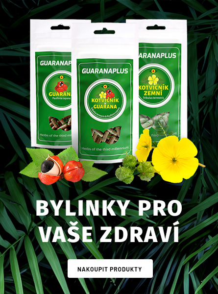 Bylinky pro vaše zdraví