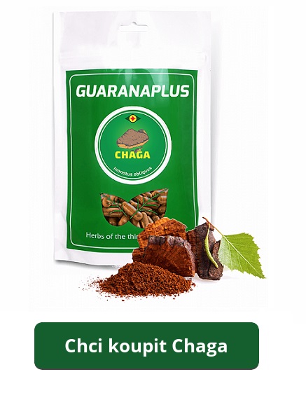 chci-koupit-chaga